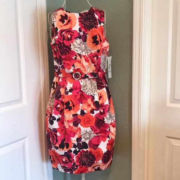 Eliza dress size 8 new with tag - Picture 1 of 6